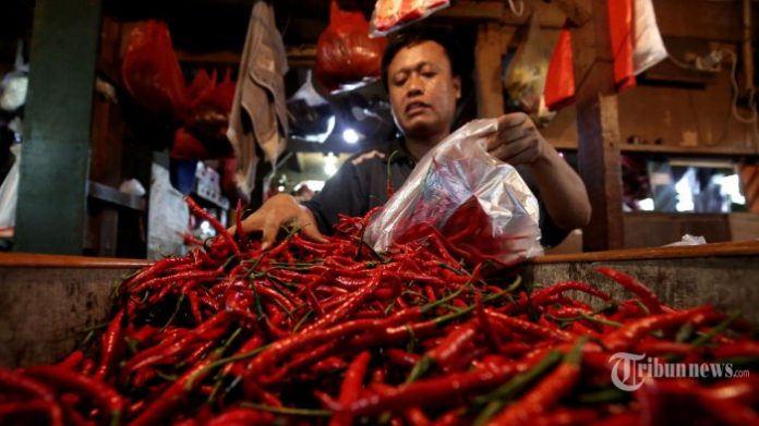 Penjual merapikan cabai yang dijual di Pasar Senen, Jakarta Pusat, Selasa, 5 April 2022. Harga bawang merah telah mengalami kenaikan menjadi Rp60.700 per kilogram (kg) dari yang sebelumnya Rp60.400 per kg pada akhir Juni 2022.